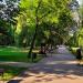 Park Miejski im. Józefa Poniatowskiego (pl) in Piotrkow Trybunalski city