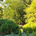 Ogród Botaniczny w Parku im. księcia Józefa Poniatowskiego (pl) in Piotrkow Trybunalski city