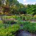 Ogród Botaniczny w Parku im. księcia Józefa Poniatowskiego (pl) in Piotrkow Trybunalski city