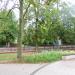 Park (pl) in Piotrkow Trybunalski city