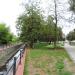 Park (pl) in Piotrkow Trybunalski city