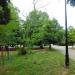 Park (pl) in Piotrkow Trybunalski city