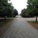Park (pl) in Piotrkow Trybunalski city
