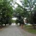 Park (pl) in Piotrkow Trybunalski city