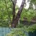 Руины сгоревшего здания в городе Красногорск