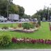 Газон в городе Красногорск