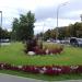 Газон в городе Красногорск