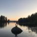 Орёл на камне в городе Рощино