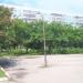 Школьный яблочный сад в городе Ульяновск
