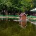 Будиночок для водоплавних птахів в місті Мелітополь