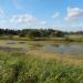 Pond