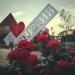 Стела «Я ♥ «Венеция» в городе Каменск-Шахтинский