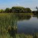 Park Suble (pl) in Tychy city