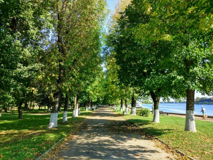 Городской сад тверь заволжский парк фото