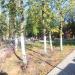 Сквер в городе Великие Луки