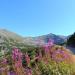 Bistritsa River Valley