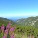 Bistritsa River Valley