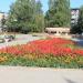 Клумба в городе Великие Луки