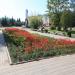 Клумба в городе Великие Луки