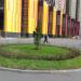 Клумба в городе Красногорск