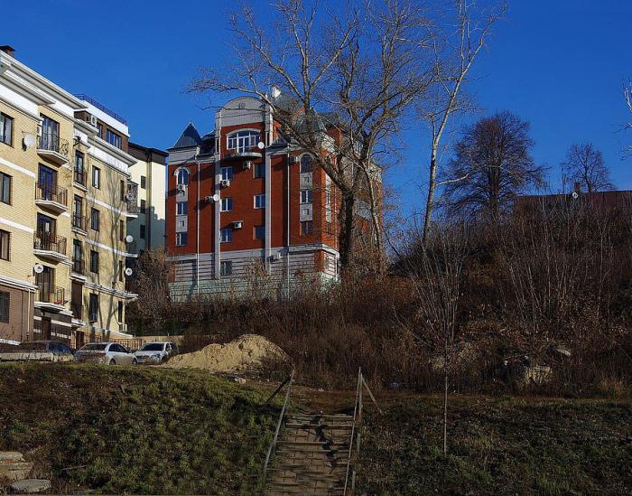 Сергей и Юлия. Веселье на Ранчо. Портал Свадьба Воронеж - свадебный портал г. Во