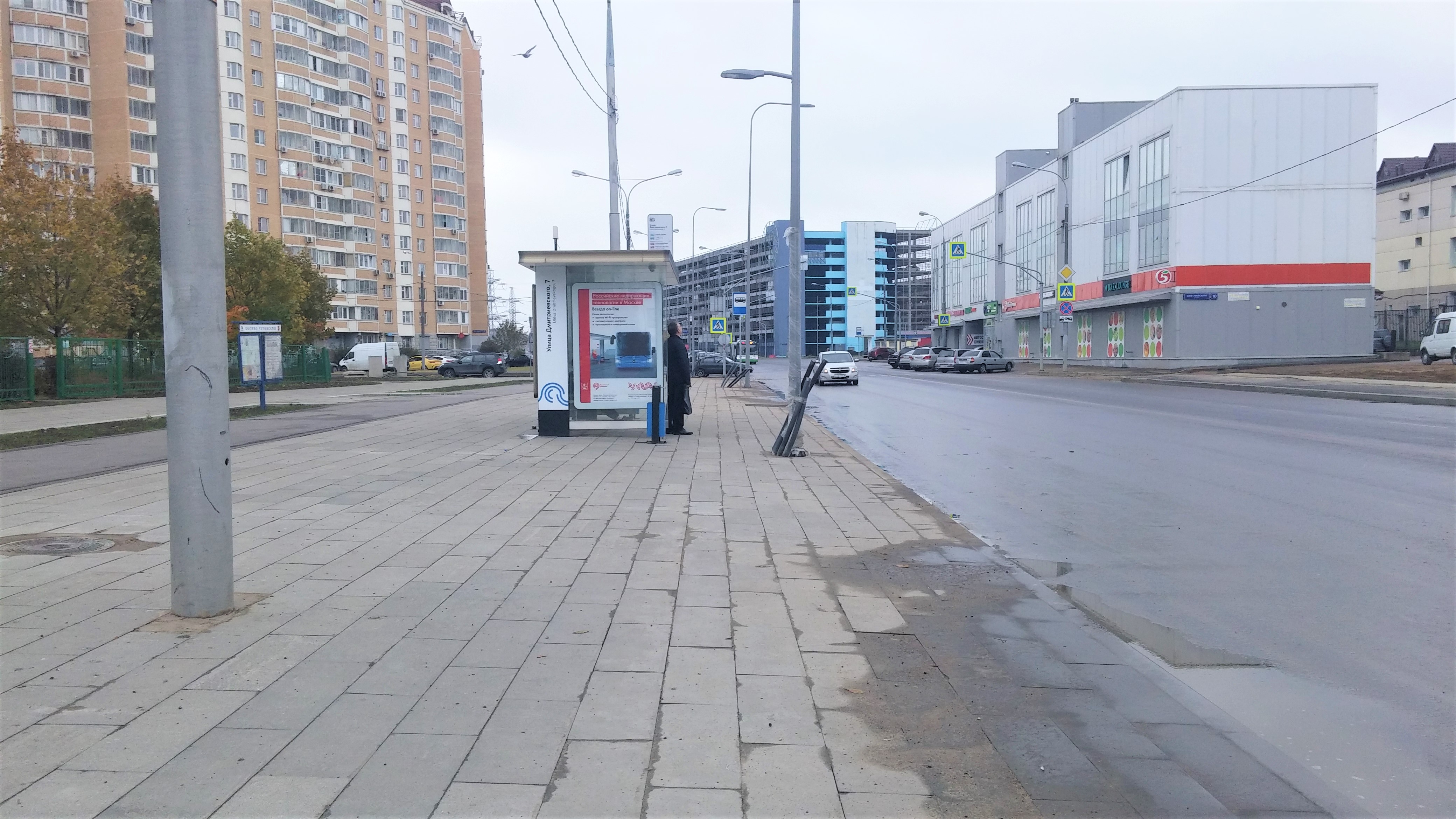улица дмитриевского метро фото