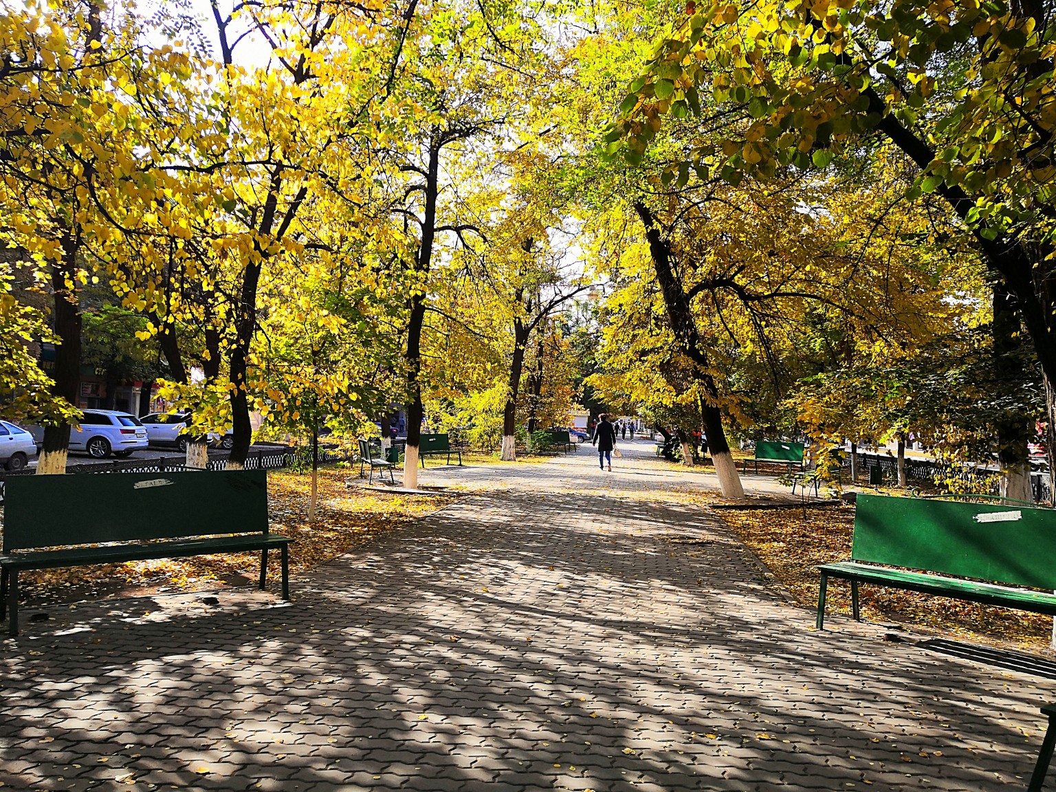 Recreation Area With Benches Kamensk Shakhtinsky recreation-area-with-benches-kamensk-shakhtinsky