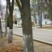 Клуб в городе Нахабино