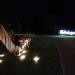 Park Hestii in Sopot city