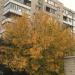 микрорайон им. 60 лет Октября, 3 в городе Каменск-Шахтинский
