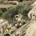 Nuraghe Monte de S’Ape o Casteddu