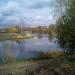 Устье ручья Воронок в городе Щёлково