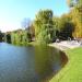 Staw większy (pl) in Warsaw city