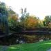 Maly staw (pl) in Warsaw city