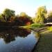 Maly staw (pl) in Warsaw city