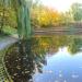 Maly staw (pl) in Warsaw city