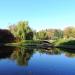 Maly staw (pl) in Warsaw city