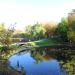 Maly staw (pl) in Warsaw city