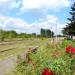 Avrig Railway Station