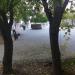 Бывший блошиный рынок в городе Севастополь