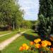 Forest Camping and Cabins Répáshuta