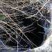 Руины подземного нефтехранилища Каменской нефтебазы в городе Каменск-Шахтинский