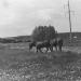 Место списанной техники инженерных войск в 90-е в городе Нахабино