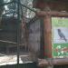 Raven (en) в городе Киев