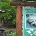 African spurred tortoise (en) в городе Киев