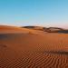 Athabasca Sand Dunes Provincial Park