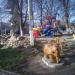 Сквер в городе Таруса