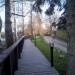 Еловая аллея в городе Таруса