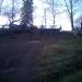 Еловая аллея в городе Таруса