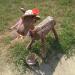 Goat wooden sculpture (en) в місті Київ